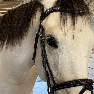 Soft Supple Dressage Bridle (Practically New)